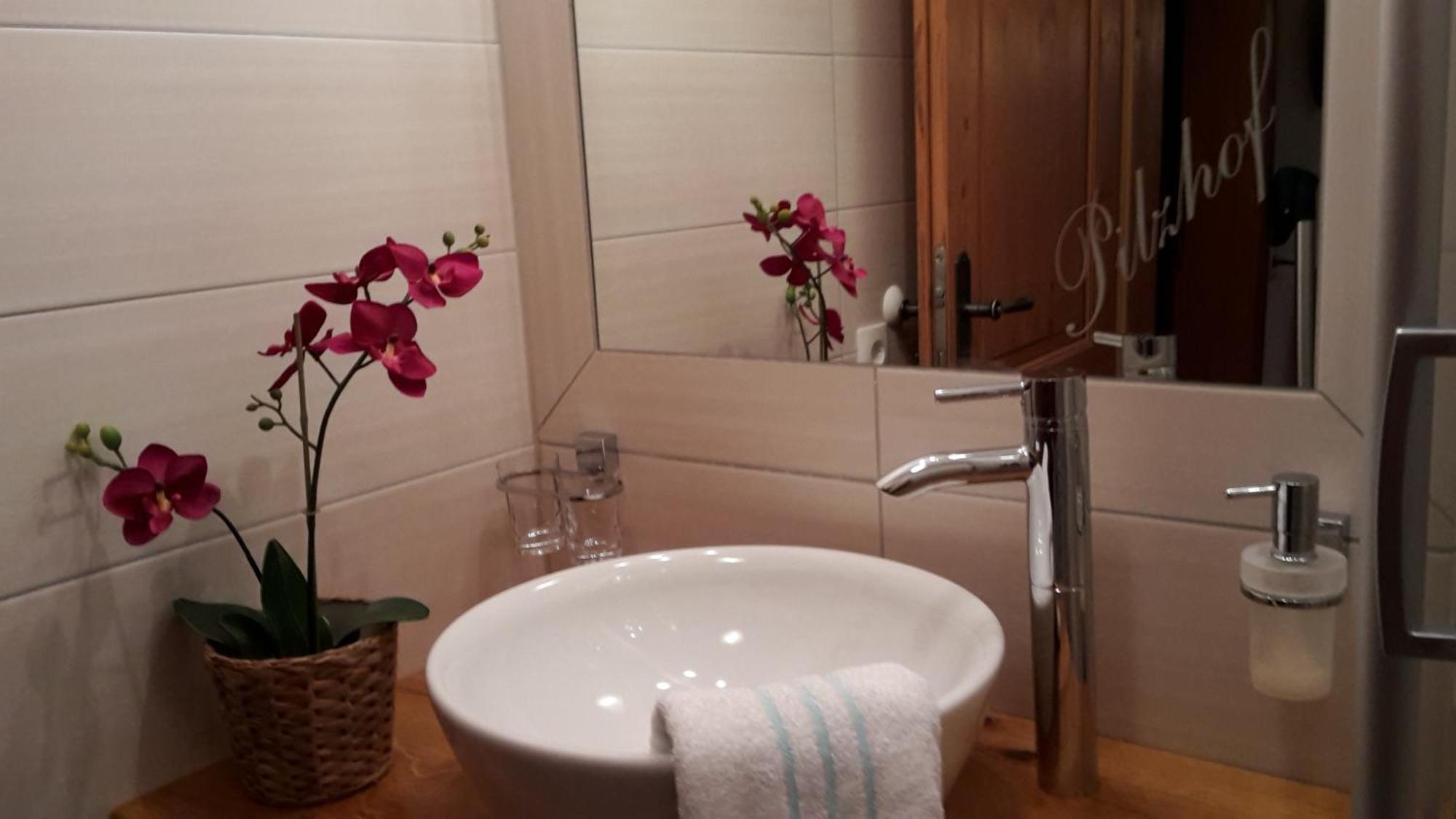 Appartement Pilzhof Filzmoos Luaran gambar